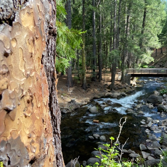 Meet your Posher, Ambassador J - Picture 7 of 9